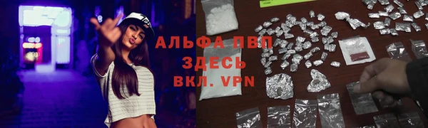 гашик Кукмор