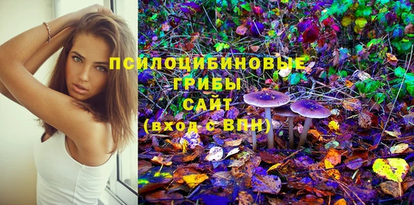 стаф Куйбышев